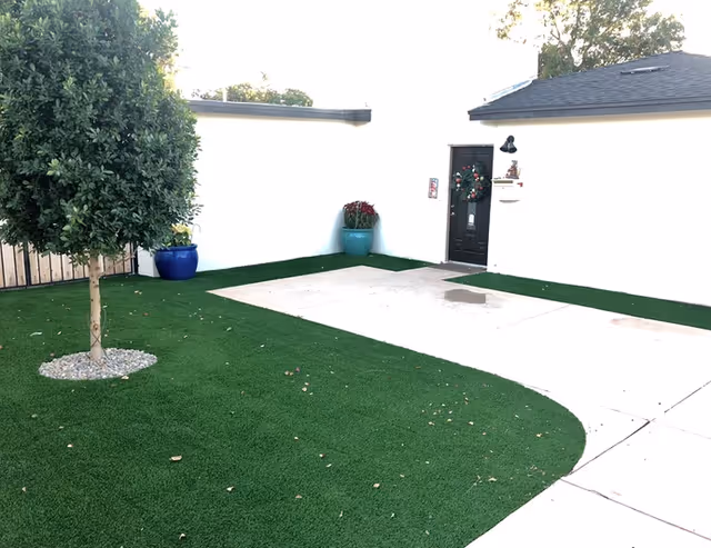 Outdoor area with artificial grass, a small tree planted in a circular bed of rocks, two large blue and green planters with plants, a white building with a black door decorated with a wreath, and a concrete pathway.