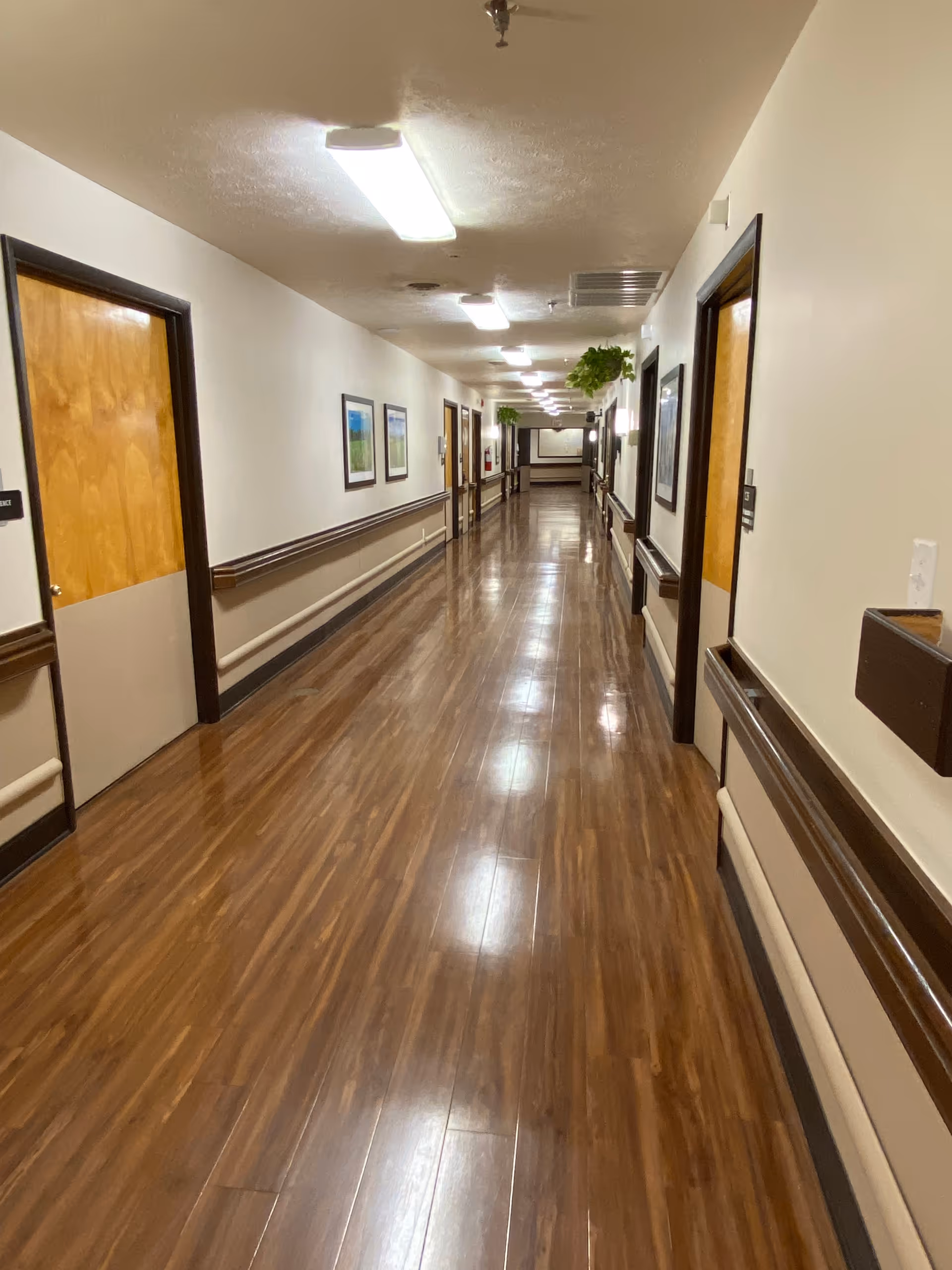 A long, clean hallway in a healthcare facility with wooden doors on both sides, wood-patterned flooring, handrails along the walls, framed pictures, and ceiling lights. There are also some hanging plants along the corridor.