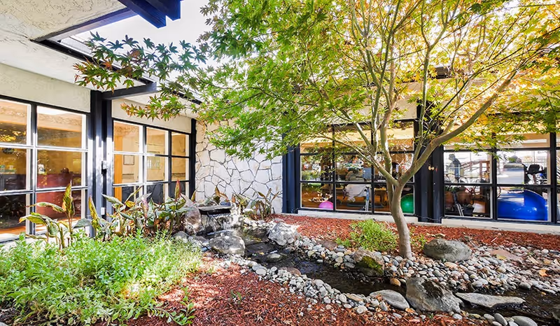 Sunlit courtyard garden with a small rock-lined stream, a tree and plants in front of large windows into the facility.