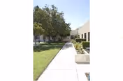 Outdoor walkway between two single-story buildings with green grass and trees on the left side and planter boxes on the right side under a clear blue sky.