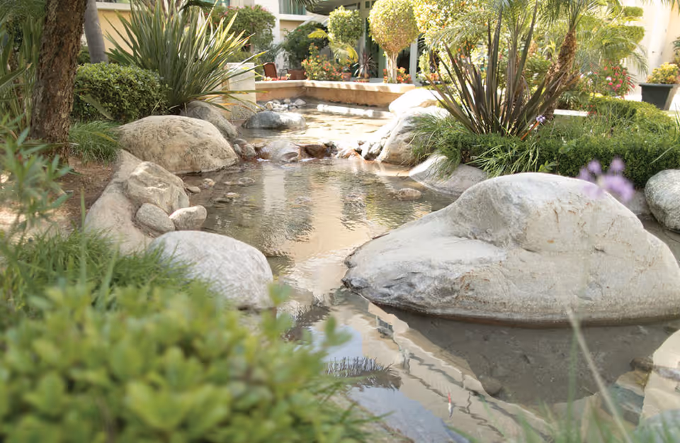 A serene outdoor garden area featuring a small pond surrounded by large rocks, green shrubs, and various plants with a building visible in the background.