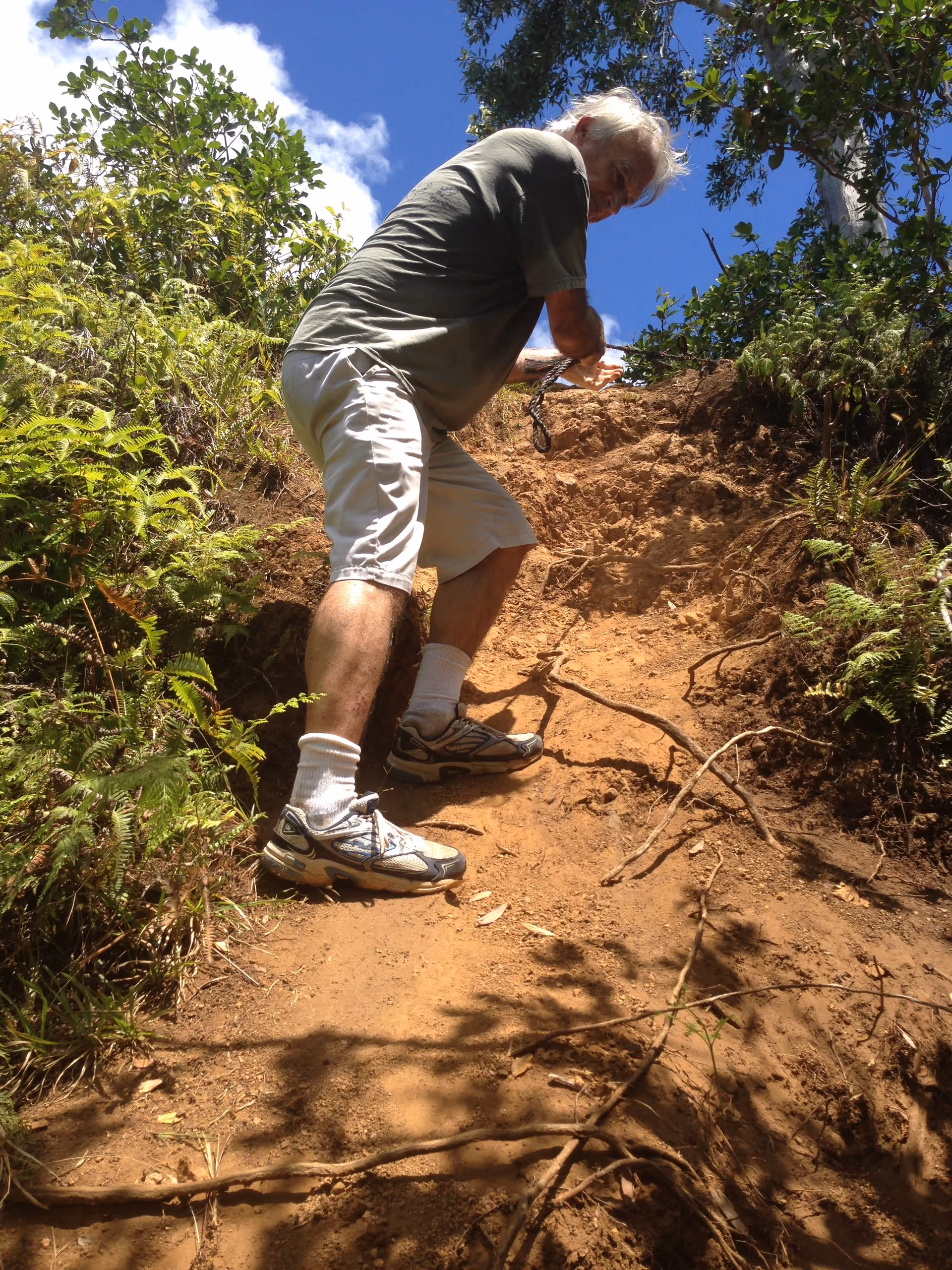 An elderly man wearing a gray t-shirt, white shorts, white socks, and sneakers is climbing a steep dirt trail outdoors, using a rope for support. The trail is surrounded by green foliage and trees under a clear blue sky.
