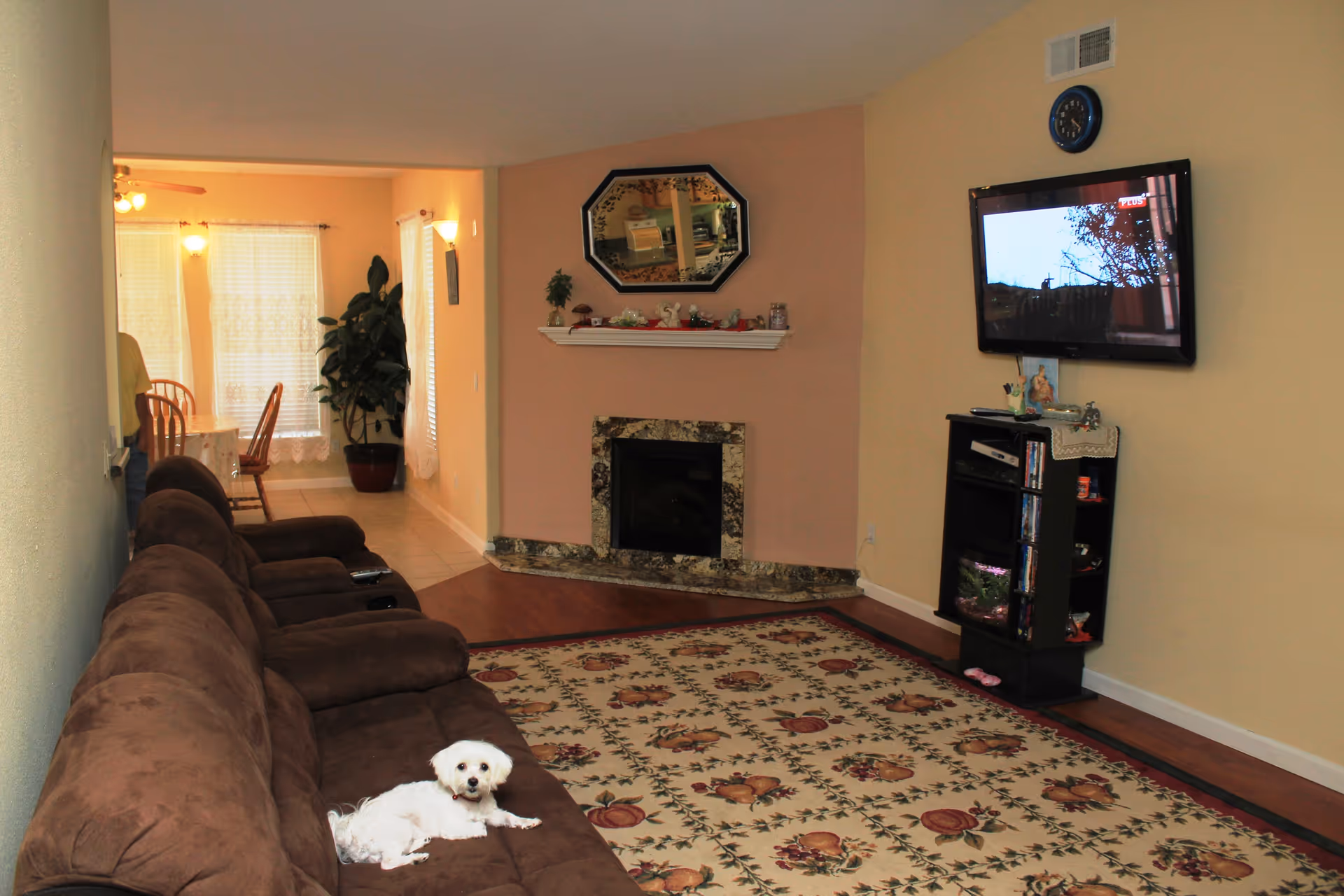 A cozy living room with a brown sofa on the left side, a small white dog lying on the sofa, a patterned area rug on the floor, a fireplace with a decorative mantle and mirror above it on the far wall, and a wall-mounted TV above a black entertainment stand on the right side. In the background, there is a dining area with a table and chairs near windows with lace curtains and a large potted plant.