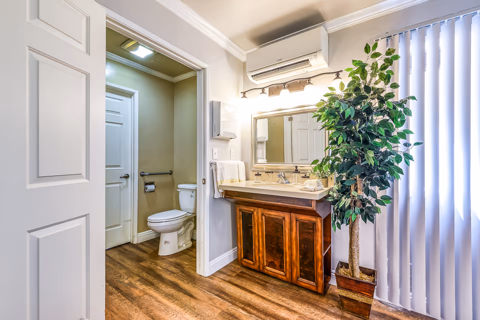 Interior view of a bathroom area in a senior living facility. The image shows a white toilet with a grab bar on the wall, a wooden vanity with a sink and mirror above it, a towel rack with a white towel, a potted artificial plant, and vertical blinds covering a window. The floor is wooden, and there is an air conditioning unit mounted above the mirror.