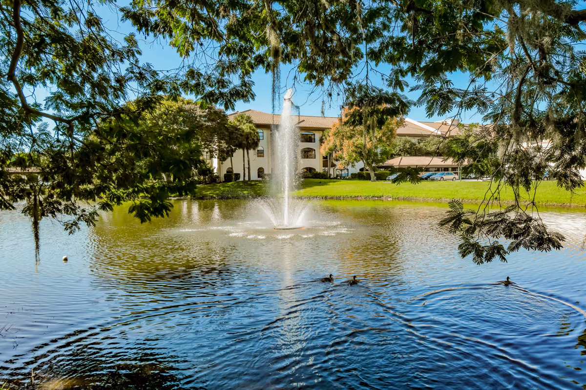 A pond with a central fountain and ducks, framed by tree branches, with a multi-story building and grassy lawn in the background.