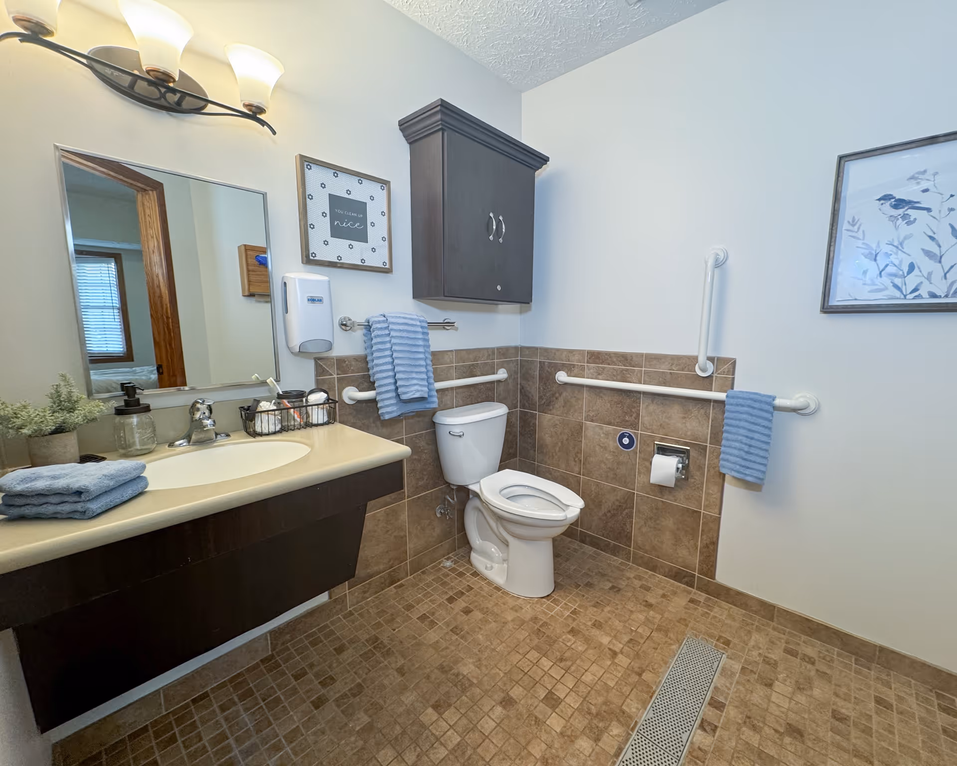 A clean and accessible bathroom with a toilet, a sink with a countertop, a large mirror, and a wall-mounted cabinet. The walls are partially tiled with brown tiles, and there are grab bars installed around the toilet for support. Blue towels hang on the grab bars, and there is a framed picture of a bird on the wall. The floor is covered with small square brown tiles.