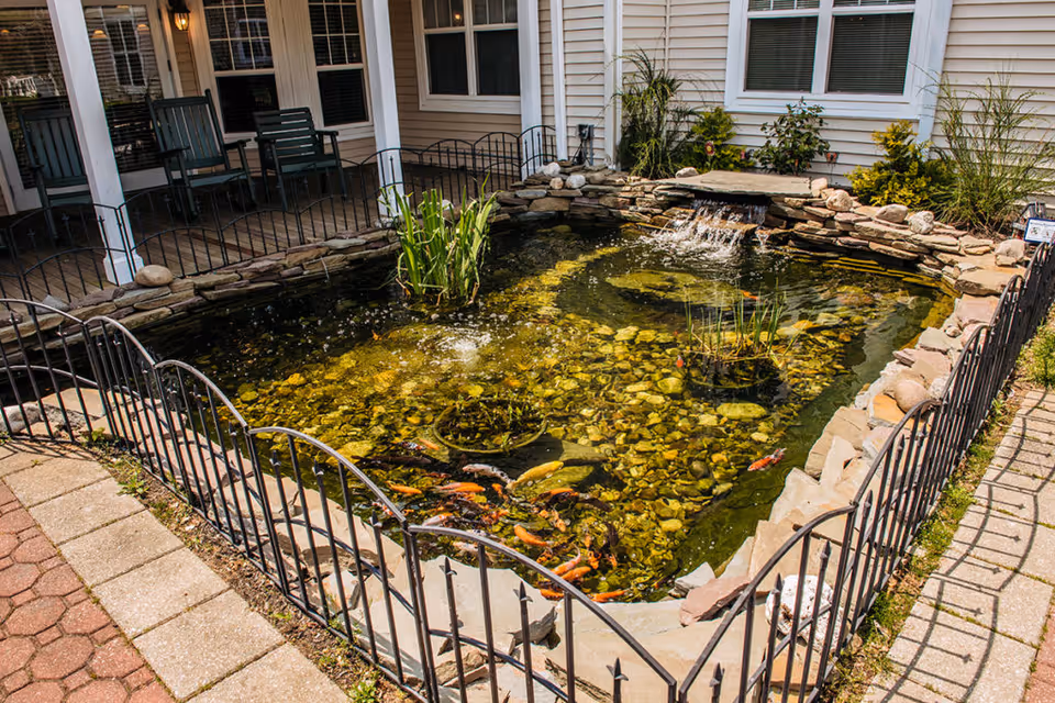 Outdoor koi pond with clear water, rocks, aquatic plants, and a small waterfall feature, surrounded by a black metal fence. The pond is located next to a building with beige siding and windows, and there is a paved walkway beside the pond.
