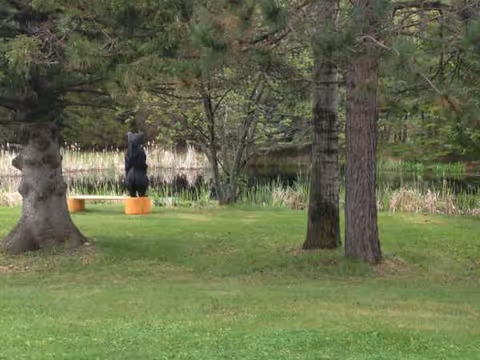 An outdoor park area with trees, grass, and a bear statue on orange blocks.