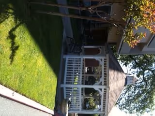 White gazebo on a green lawn beside a paved walkway with a building and trees in the background.