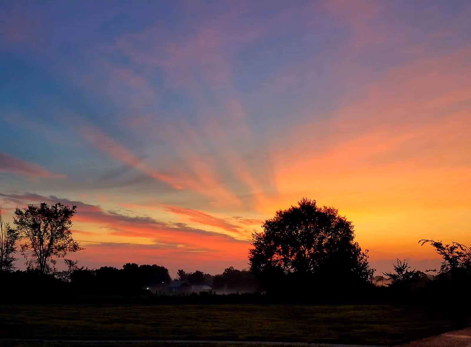 Colorful sunset sky with orange, pink, and purple hues over silhouetted trees and a grassy field.