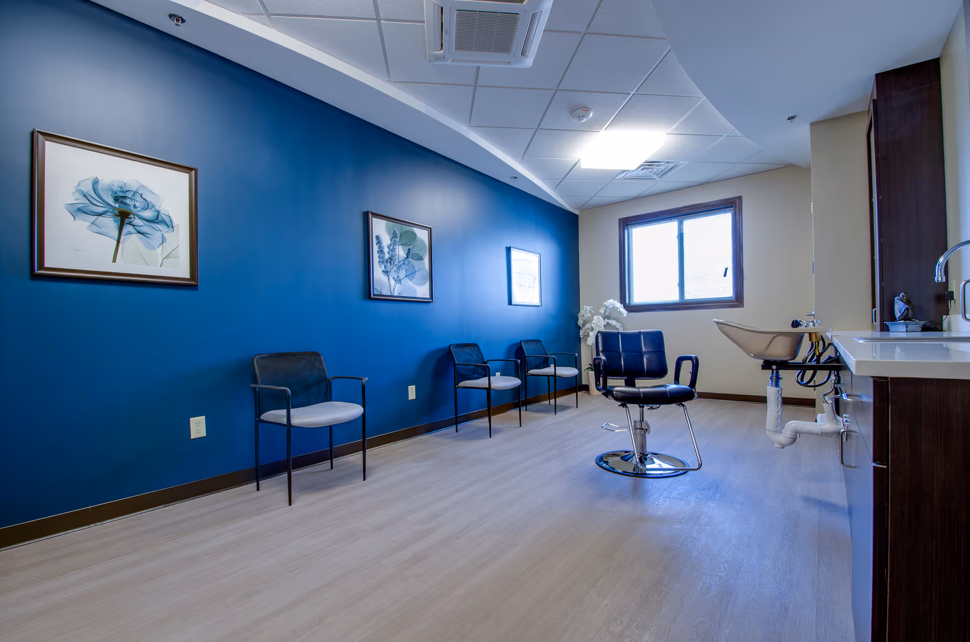 Interior room with a blue accent wall featuring three framed botanical prints, four chairs lined up against the wall, a black salon-style chair in the center, a window with natural light, and a sink with a faucet and cabinetry on the right side.