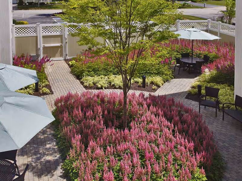 A peaceful outdoor garden area with a central tree surrounded by vibrant pink flowers and green plants. There are paved walkways, black chairs, and tables with light blue umbrellas providing shade. A white fence encloses the garden, and a parking lot is visible beyond the fence.