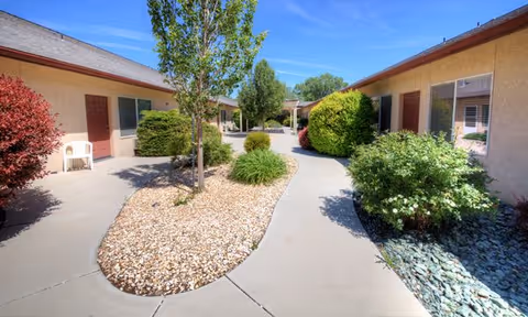 Sunny outdoor courtyard with a concrete walkway flanked by single-story residence units, trees, and landscaped shrubs.