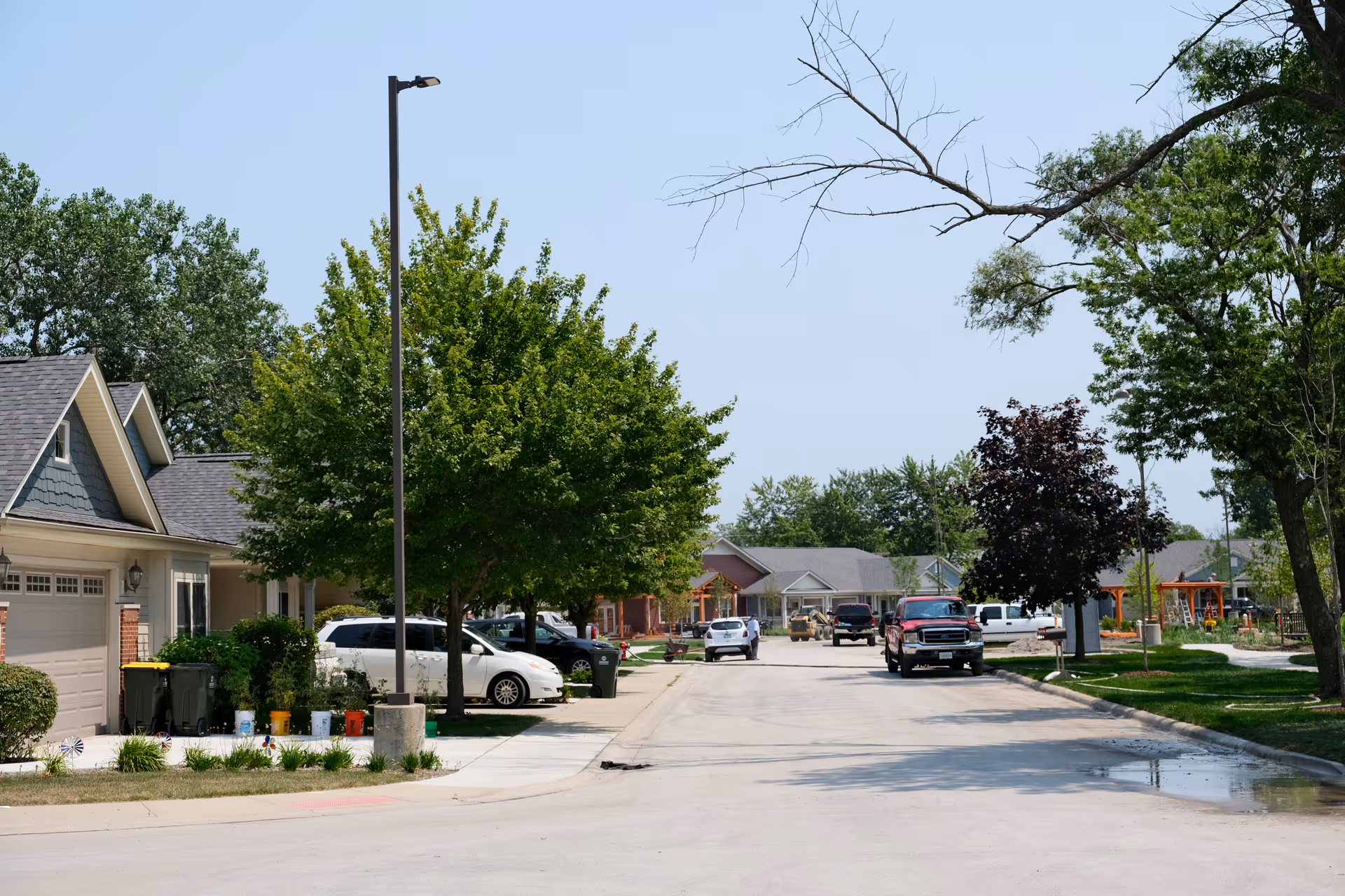 Residential street in a senior living community with single-story houses, parked cars, and leafy trees.