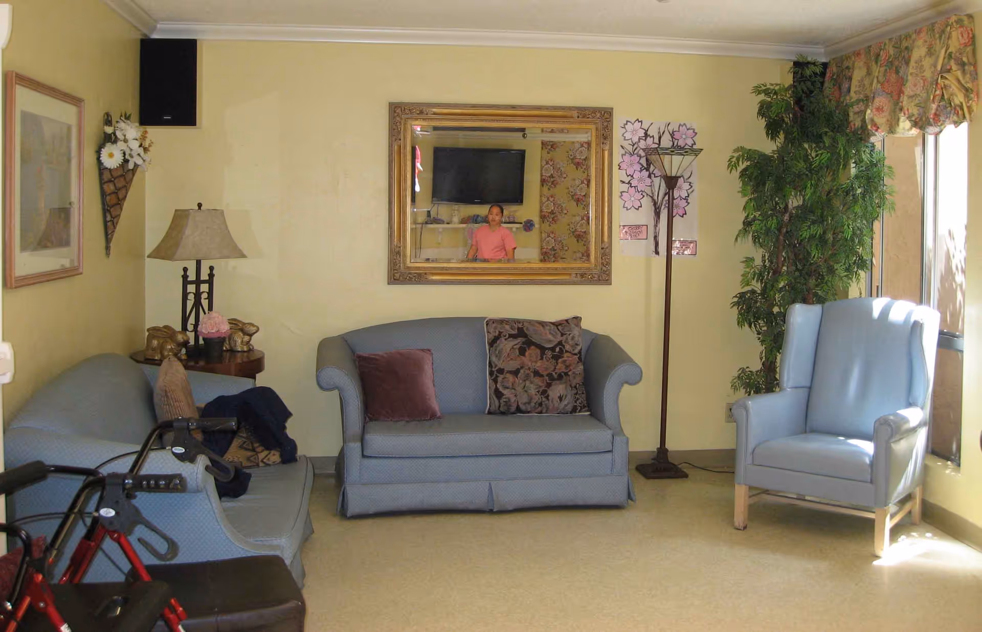 A cozy living room with two blue upholstered sofas, a blue armchair, a floor lamp, and a large mirror on the wall reflecting a person in a pink shirt. There is a side table with a lamp and decorative items, a framed picture on the wall, a large potted plant near a window with floral curtains, and a red walker in the foreground.