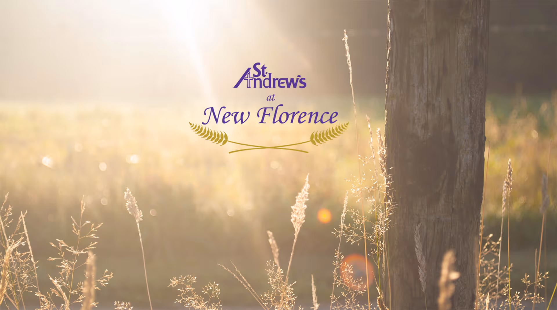 A sunlit field with tall grasses and a wooden post, with the text 'St. Andrew's at New Florence' overlaid in the center.