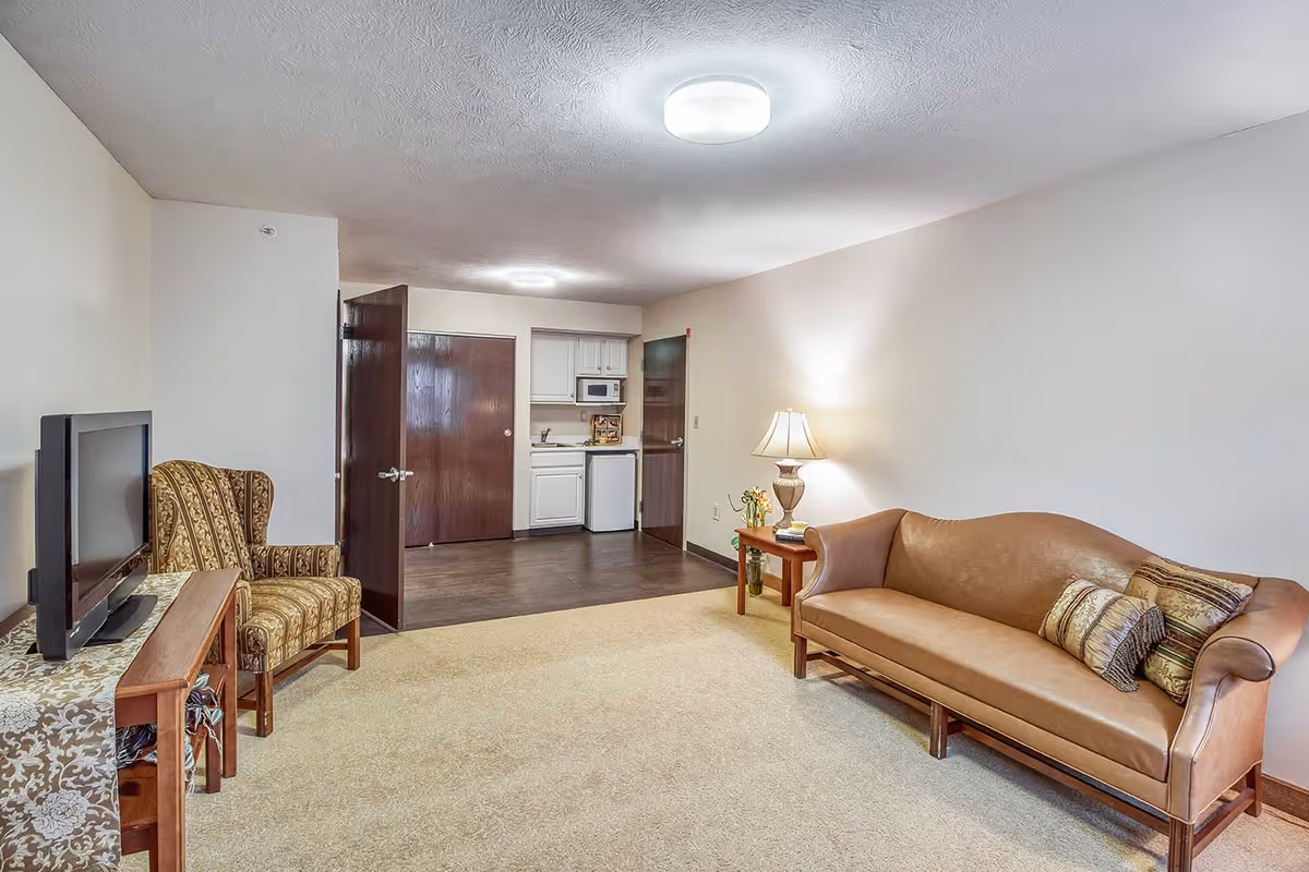 A living room area with a brown leather sofa adorned with decorative pillows on the right, a wooden side table with a lamp and flowers, and a patterned armchair next to a TV on a wooden stand on the left. In the background, there is a small kitchenette with white cabinets, a microwave, and a mini fridge, along with two closed wooden doors.