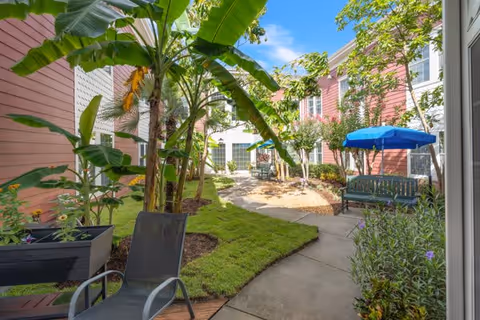 A sunny outdoor courtyard area with a concrete pathway winding through green grass and tropical plants, including banana trees. There are benches, one with a blue umbrella, and the surrounding buildings are painted in shades of pink and white. The sky is clear and blue.