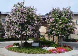 Exterior view of Saint Simeon's Senior Community with flowering trees and landscaped entrance.