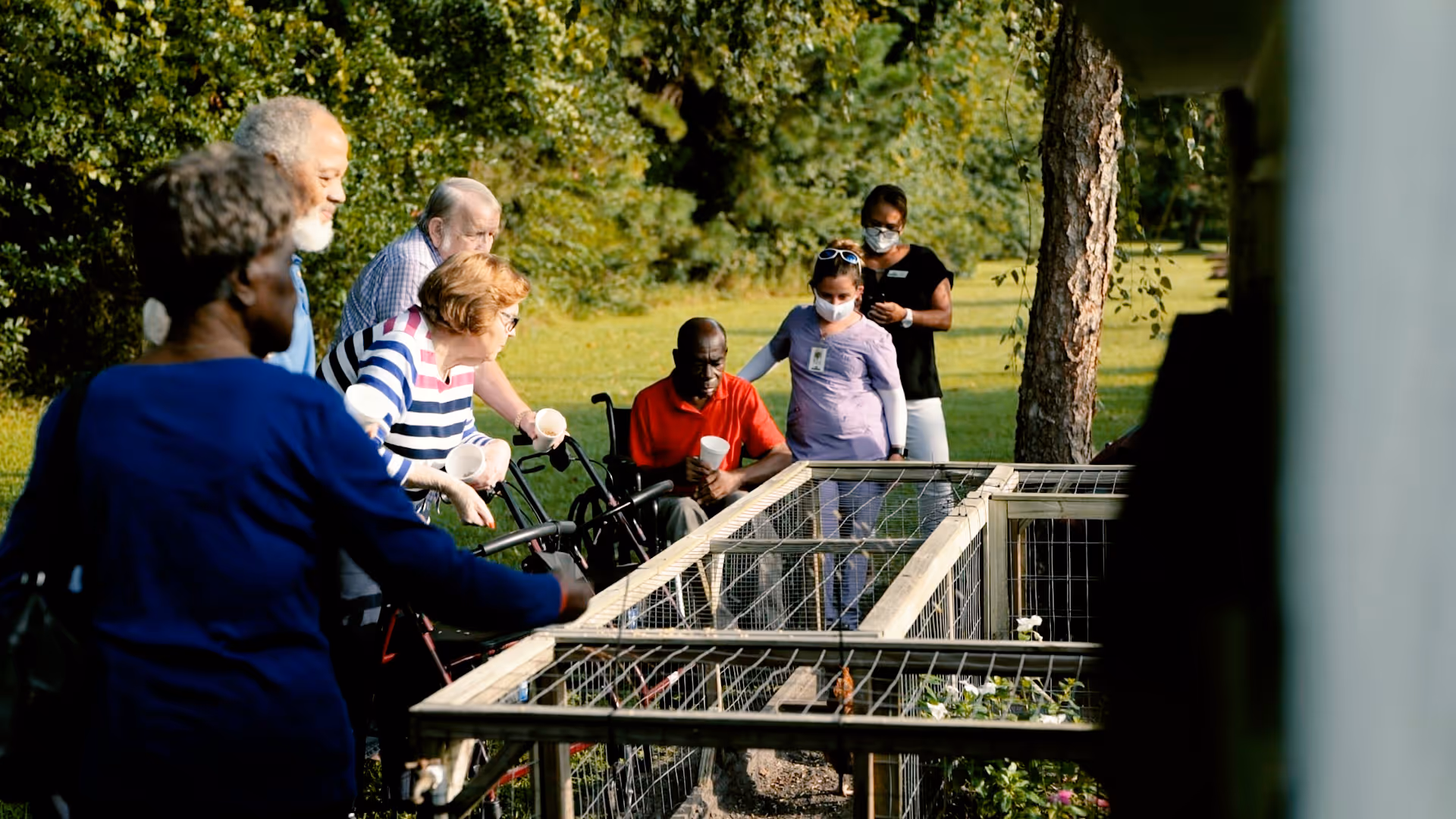 A group of elderly people and caregivers gathered around an outdoor garden enclosure, some holding cups and interacting with the plants, with trees and greenery in the background.