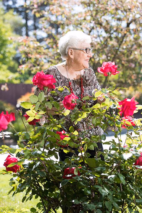 An elderly woman with white hair and glasses is standing outdoors among blooming red rose bushes. She is wearing a patterned blouse and a red necklace, and she is smiling while looking to the side. The background shows greenery and trees in a sunny garden setting.