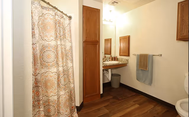 Bathroom with a patterned shower curtain, wooden cabinets, a sink and mirror, towel rack, and wood-look flooring.