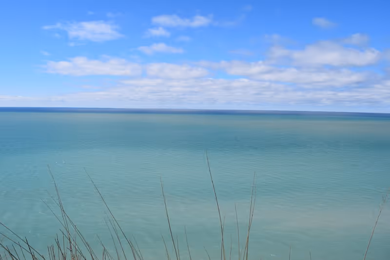 View of a large body of water under a partly cloudy blue sky, with some tall grass visible in the foreground.