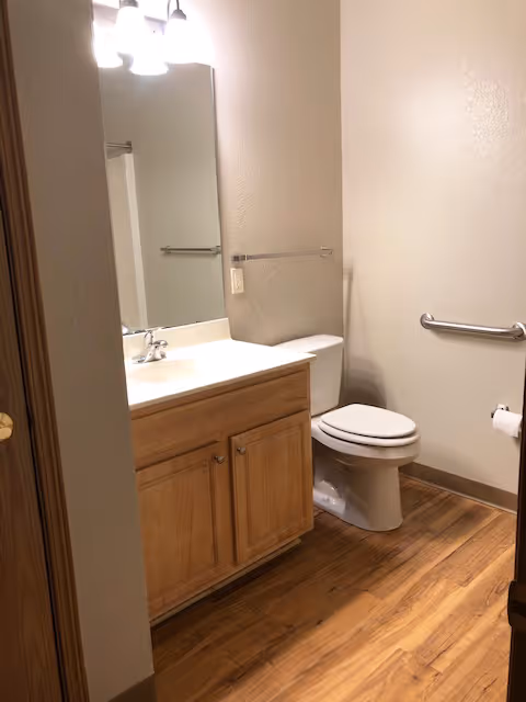 Small bathroom with a wooden vanity and sink, mirror, toilet, grab bars, and wood-look flooring.
