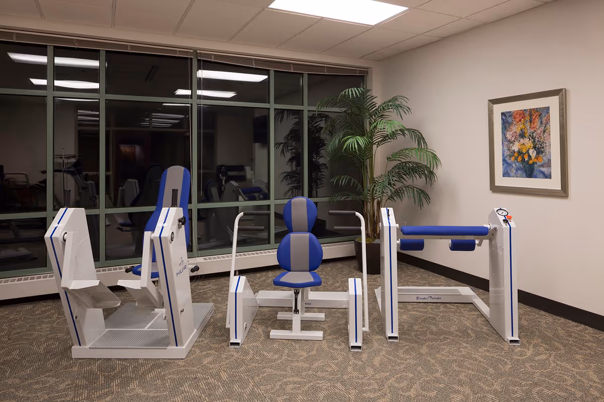A small exercise room with three pieces of white and blue exercise equipment arranged on a carpeted floor. There is a large window with green frames behind the equipment, a tall potted plant in the corner, and a colorful framed painting on the wall.