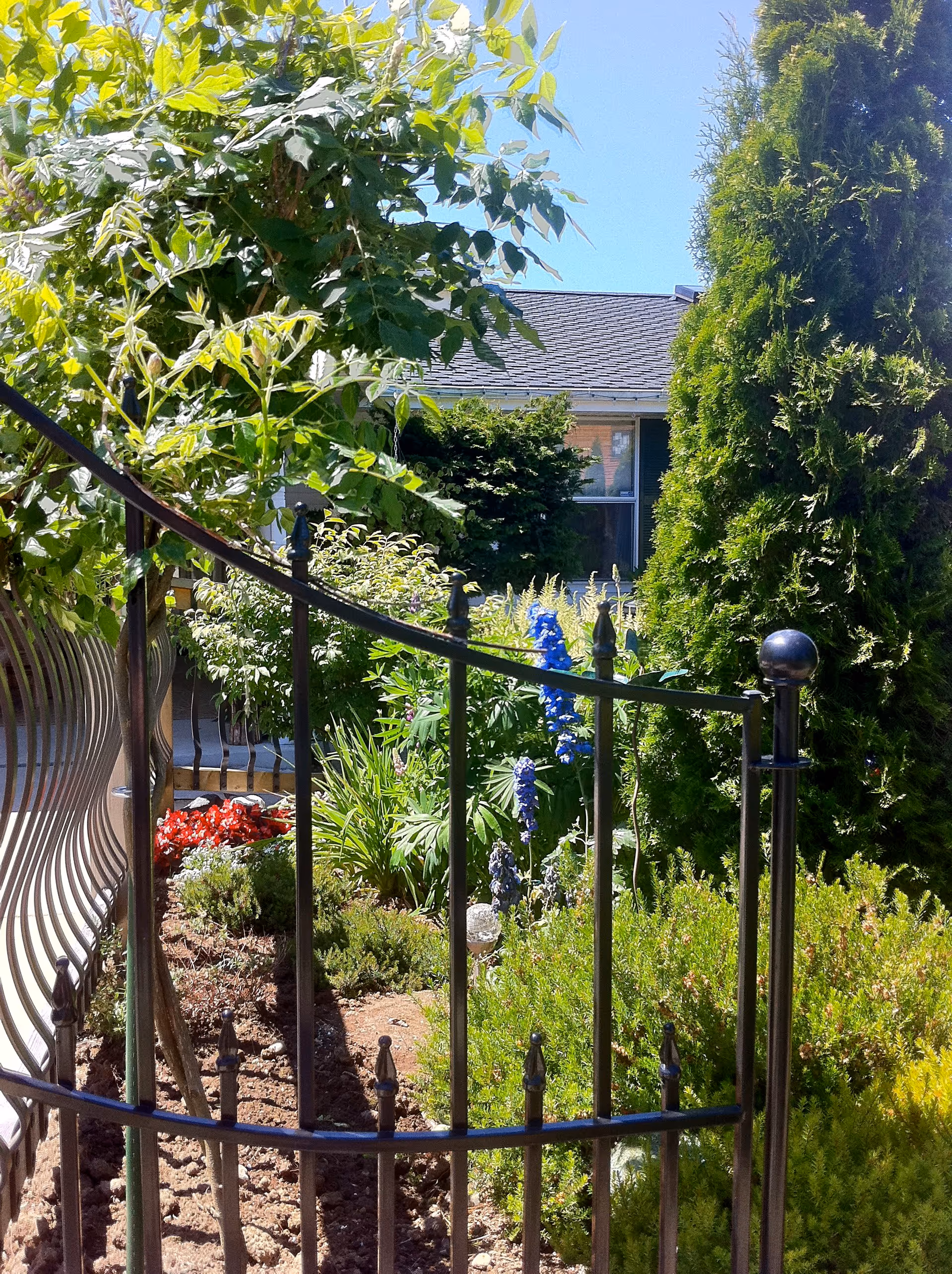 A garden area with various green plants, bushes, and flowers including blue and red blooms, enclosed by a black metal fence. In the background, part of a house with a window and roof is visible under a clear blue sky.