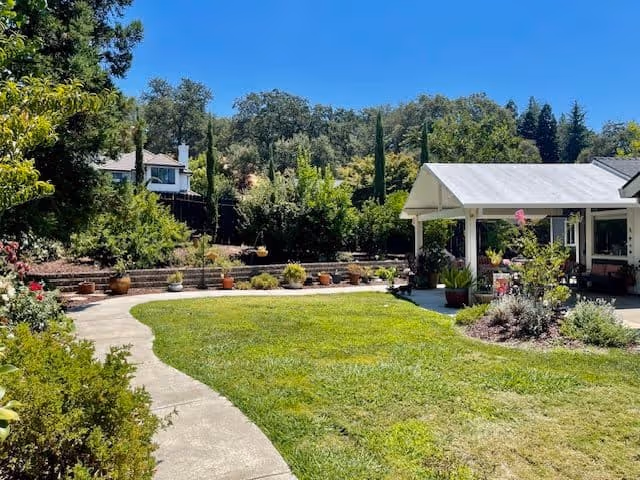 A sunny outdoor garden area with a curved concrete pathway, green grass, various plants and shrubs, potted plants along a retaining wall, and a covered patio structure with seating. Trees and a house are visible in the background under a clear blue sky.