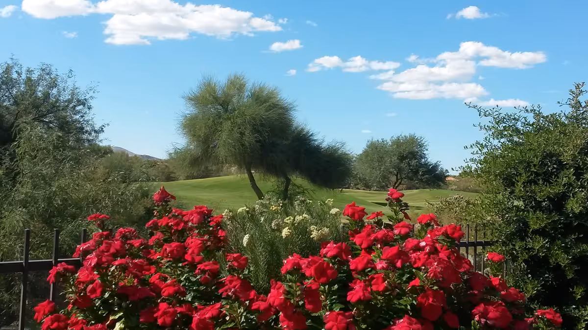 A vibrant garden scene featuring bright red flowers in the foreground, green trees and bushes, a grassy hill, and a clear blue sky with scattered white clouds.