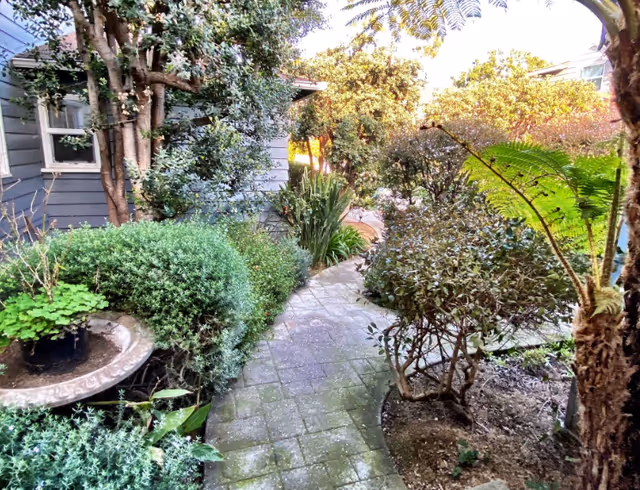 A garden pathway paved with stone tiles winds through lush greenery and various plants, including bushes and small trees, beside a gray building with windows.