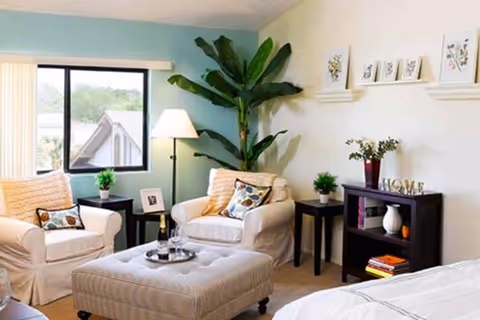 Bright living room with two upholstered armchairs, a tufted ottoman, side tables, a large potted plant and framed wall art.