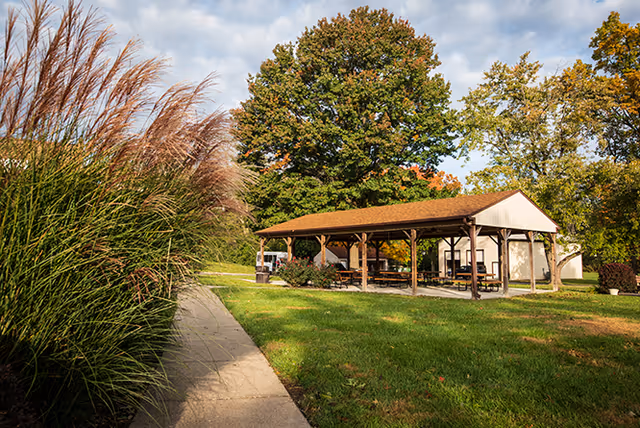 Outdoor pavilion with a wooden roof and picnic tables underneath, surrounded by green grass, tall ornamental grasses on the left, and large trees with autumn foliage under a partly cloudy sky.