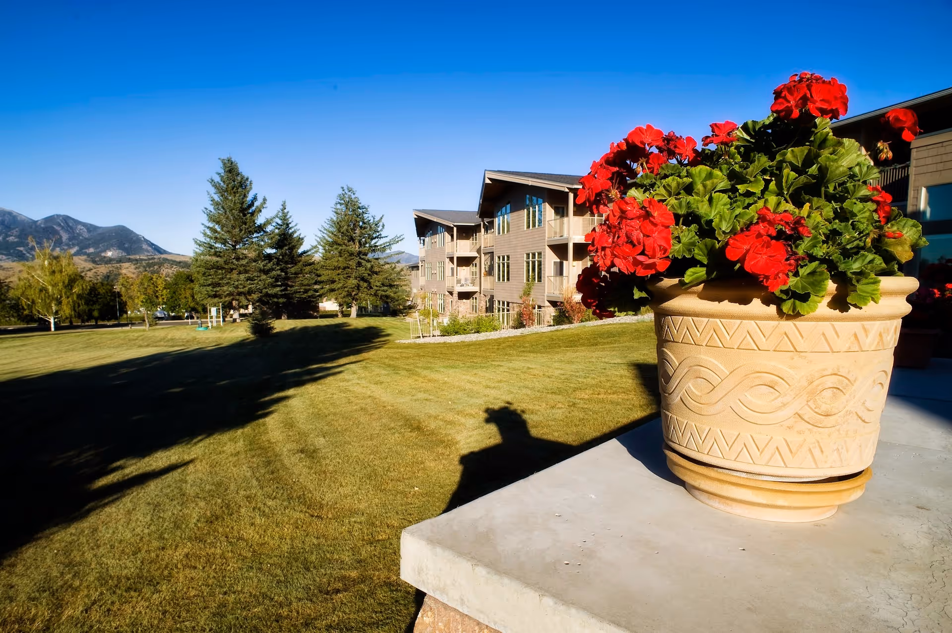A large beige flower pot with vibrant red flowers sits on a concrete ledge in the foreground. Behind it is a well-maintained grassy lawn with several evergreen trees and a multi-story senior living building under a clear blue sky. Mountains are visible in the background.