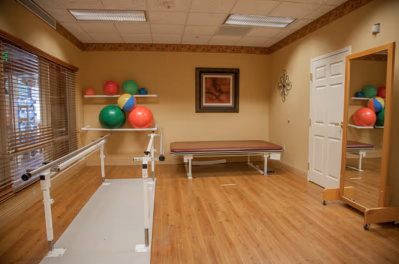 A therapy or rehabilitation room with wooden flooring, parallel bars for walking exercises, a padded treatment table, colorful exercise balls on wall shelves, a large mirror on a wooden stand, and a window with wooden blinds.