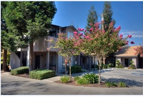 Exterior view of Arbor Manor Senior Cottage Apartments showing a two-story building with balconies, surrounded by trees and flowering plants under a clear blue sky.