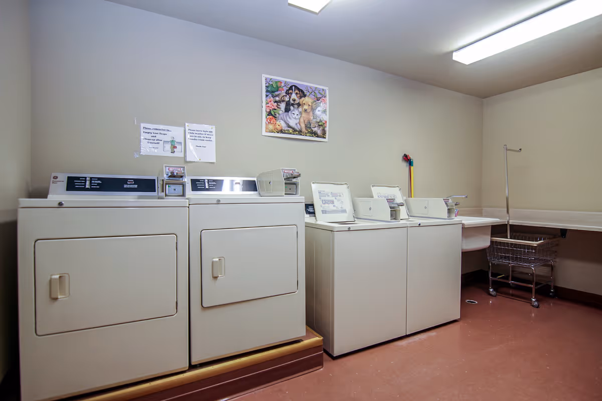 Laundry room with two dryers on the left and two washing machines on the right. There is a folding counter with a laundry cart underneath on the far right. A colorful picture of dogs is hung on the wall above the machines, and two signs with instructions are posted on the wall above the dryers.