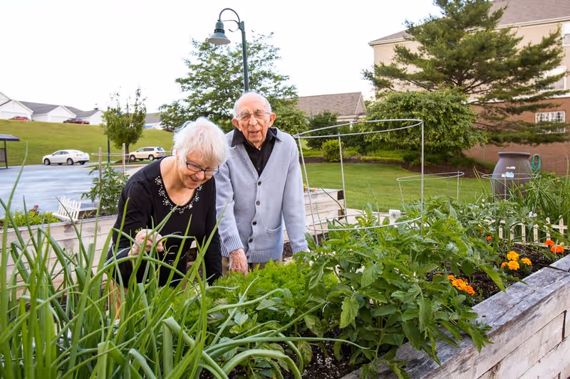 An elderly woman and man tending to a raised garden bed filled with various green plants and flowers outdoors, with a residential building and trees in the background.