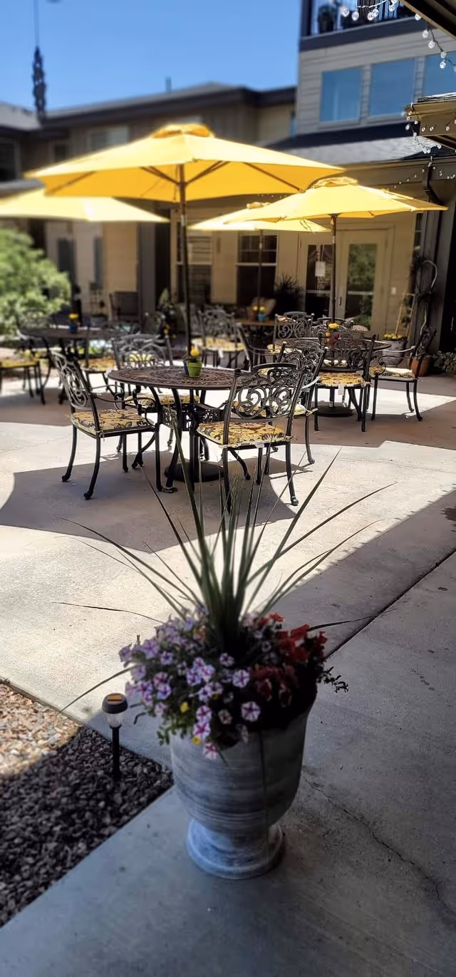 Outdoor patio area with several metal tables and chairs featuring decorative backs and patterned cushions. Large yellow umbrellas provide shade over the tables. In the foreground, there is a tall planter with green spiky leaves and colorful flowers. The patio is adjacent to a building with windows and doors.