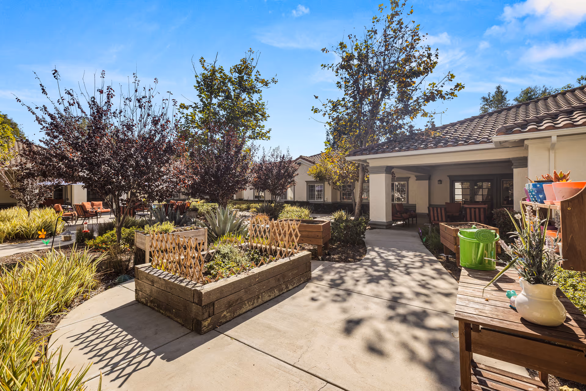 Sunlit courtyard with raised planter boxes, trees, seating, and a covered walkway at a senior living community.