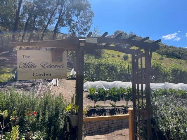 A wooden garden archway with a sign that reads 'The Millie Edwards Garden' at the entrance to a garden area with various plants and greenery under a clear blue sky.