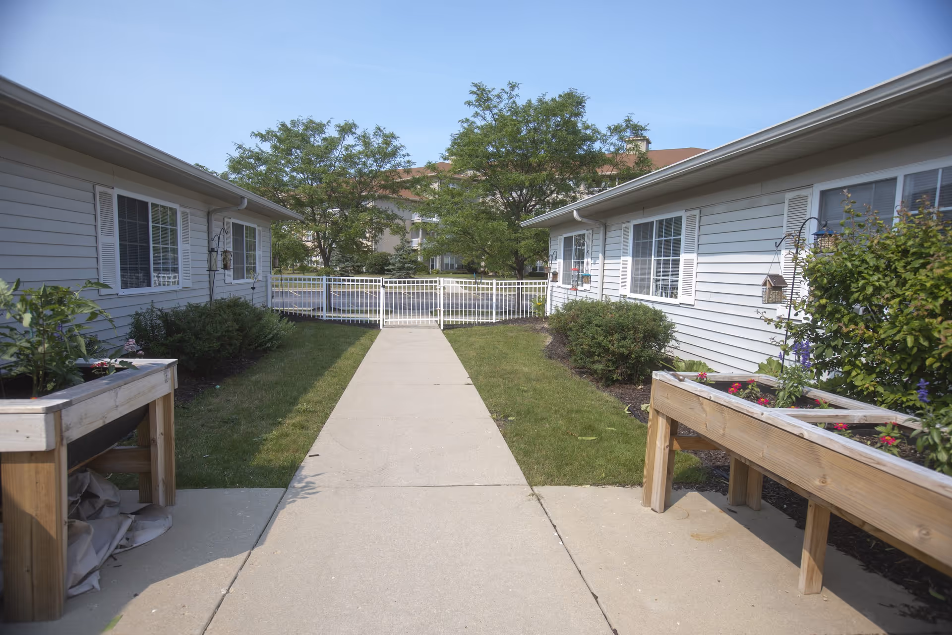 A paved walkway between two single-story buildings with white siding and windows, leading to a white gate. On either side of the walkway are green lawns and raised wooden garden beds with plants. Trees and a larger building are visible in the background under a clear blue sky.
