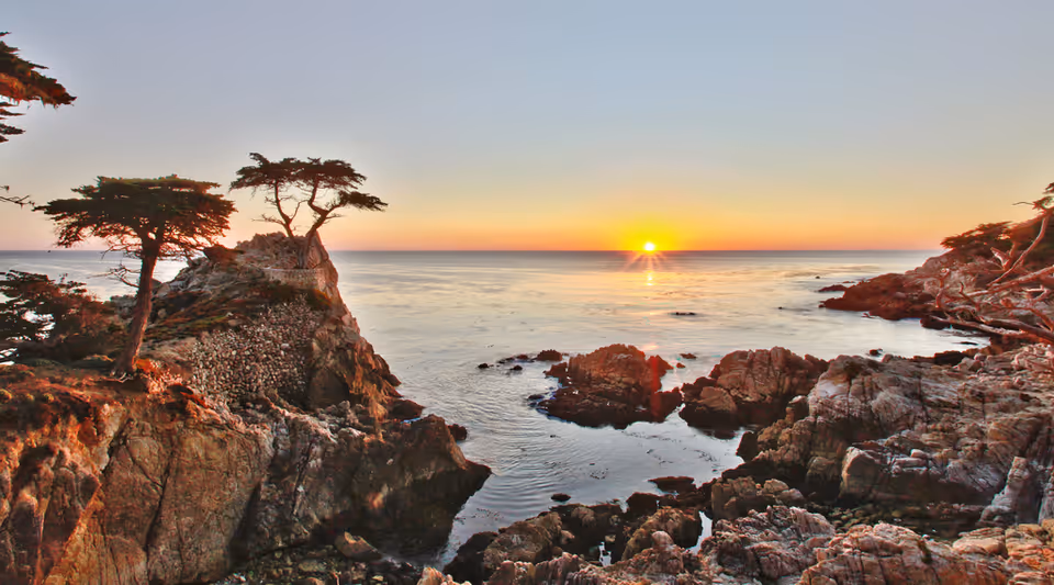 Sunset over a rocky coastline with a few windswept trees on the cliffs and calm ocean waters reflecting the orange and yellow hues of the setting sun.