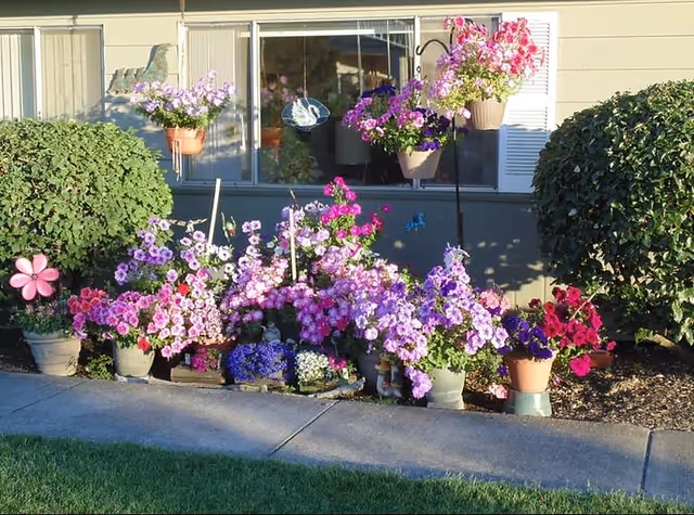 Potted and hanging pink and purple flowers line a walkway in front of a building window.