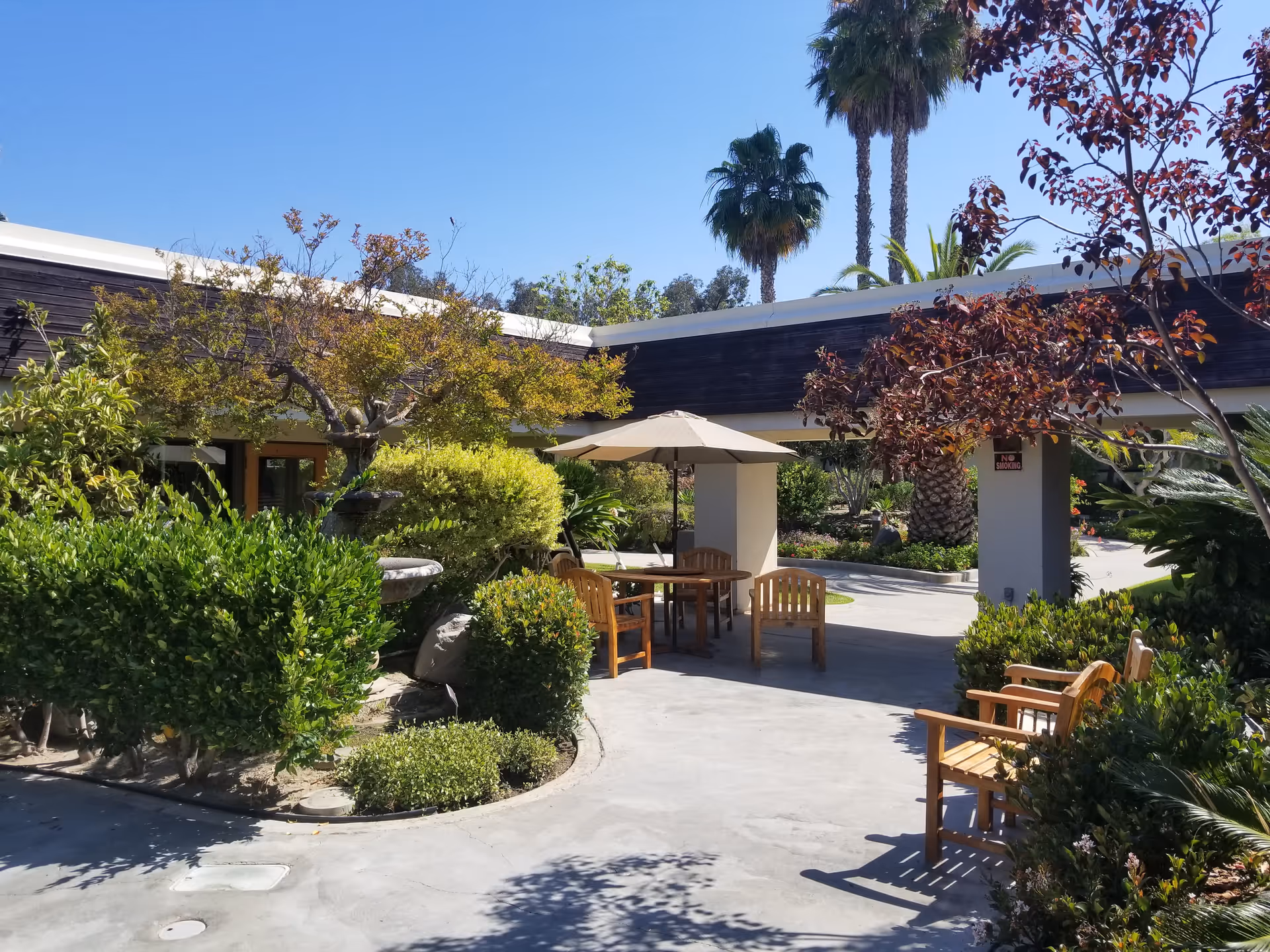 Outdoor patio area with wooden chairs and a table under a large beige umbrella surrounded by lush green bushes, trees, and palm trees under a clear blue sky.