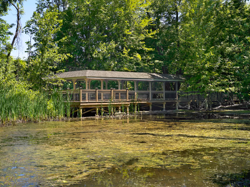 A covered wooden boardwalk extending over a pond surrounded by lush green trees and vegetation on a sunny day.