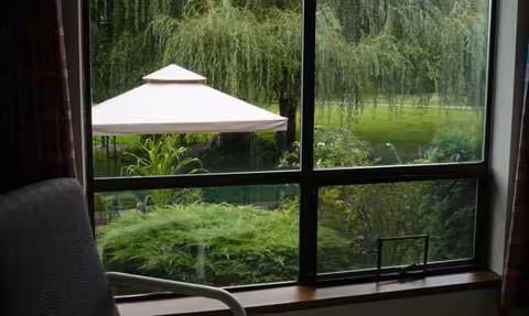 View from a window showing a patio umbrella and green outdoor area.
