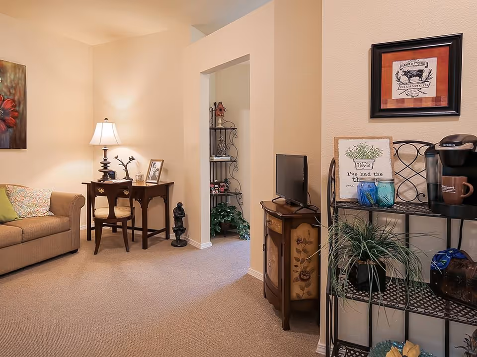 Warm living room with a beige sofa, side table and lamp, small TV on a cabinet, decorative shelving and potted plants.